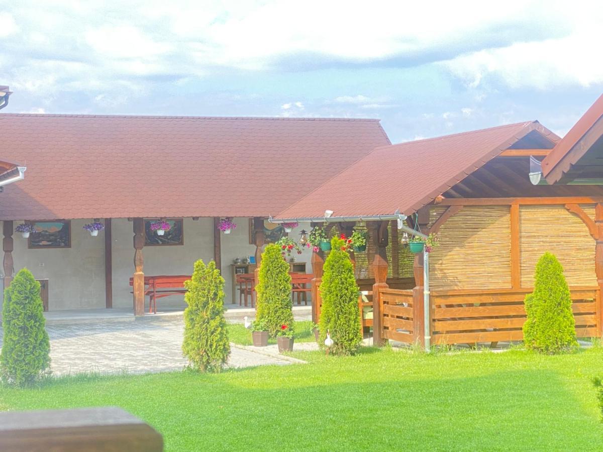 Absolut Residence Haţeg Exterior foto